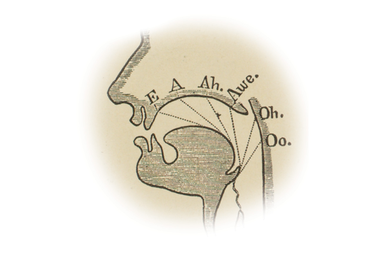 Mouth diagram