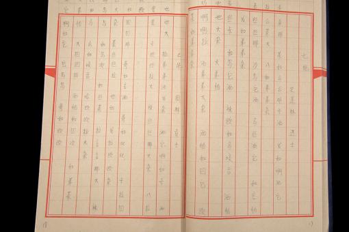 Chinese characters on a page.